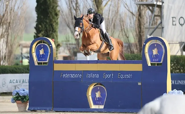 Fise: nella mente dei cavalieri e delle amazzoni del salto ostacoli