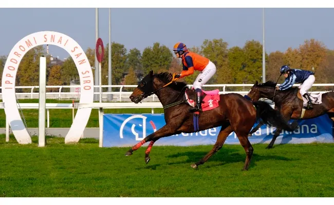 Ippica, domenica ricca all’Ippodromo Snai San Siro, prima con le auto d'epoca e poi con le corse di galoppo tra cui il Premio Falck, vinto da Thine Be The Glory, e Piccola Piuma per il Castello Sforzesco. Tre corse dedicate alla Realtà Avis