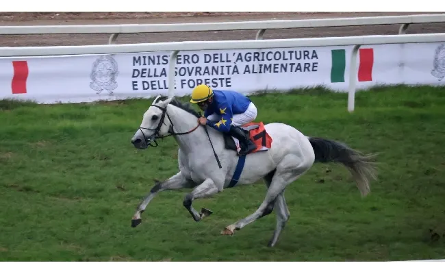 Ippica, all'Ippodromo Snai San Siro sabato di galoppo da non perdere con il St. Leger italiano di gruppo 3 e la listed per il Campobello. Al via con sette prove dalle ore 14.20