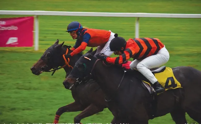 Ippica, il venerdì di galoppo freddo e piovoso all'Ippodromo Snai San Siro premia la super forma di Falcone e la tenacia di Exciting Brave. Sabato senza pioggia con il St Leger italiano e il Premio Campobello
