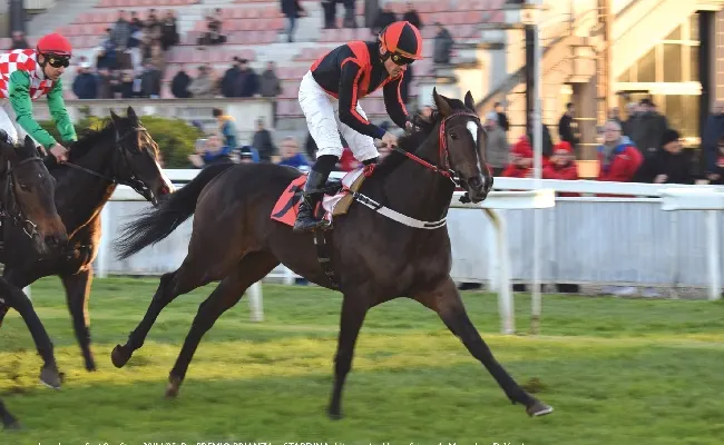 Ippica, l'ultimo sabato di galoppo nel mese di novembre all'Ippodromo Snai San Siro vede Stardinia vincere il Premio Brianza. Nel Premio Autunno di San Siro, si imponeva Bella Scommessa