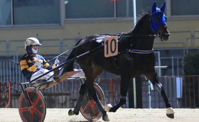 Ippica, Ippodromo di Bologna: Cannes dei Greppi e All About Bi si qualificano alla finale del Palio dei Proprietari
