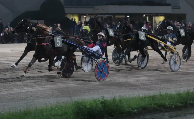 Ippica, Ippodromo di Bologna: sabato 6 dicembre, occhi puntati sulla Finale del Trofeo delle Regioni per gentlemen e clou con i migliori professionisti