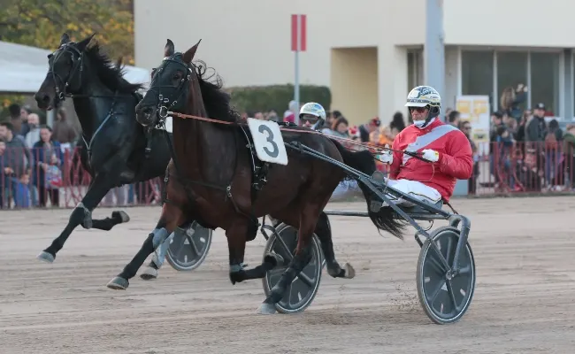 Ippica, Ippodromo di Bologna: lunedì 8 dicembre, otto corse dalle 14:15. Per le famiglie battesimo della sella e trenino