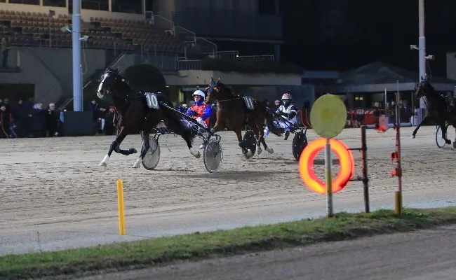 Ippica, Ippodromo Arcoveggio di Bologna: sabato 6 dicembre, Lucio Curato vince la Finale del Trofeo delle Regioni