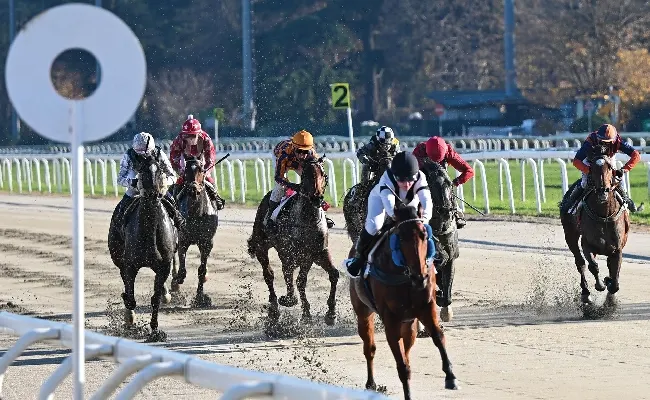 Ippica, all’Ippodromo Snai San Siro la pista in sabbia di galoppo si conferma ottima nel lunedì valido per la 54^ stagionale in cui Touch Me Again ed Ersilia vincono i due handicap limitati