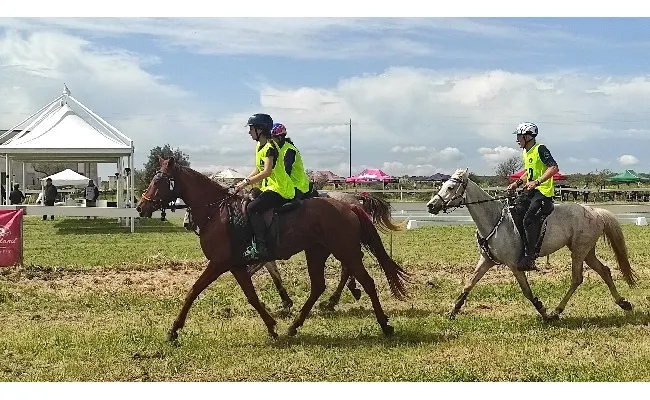 Endurance: a Tanca Regia la Finale Circuito Asvi Giovani Cavalli, si gareggia anche per la Coppa Sardegna e il Campionato Sardo