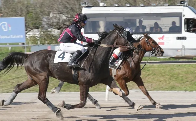 Ippica, venerdì all'Ippodromo Snai San Siro di Milano la finale del 'Trofeo Trotto Montato'
