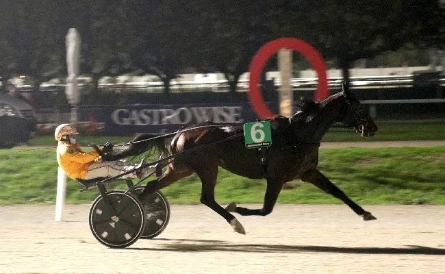 Ippica, bella domenica di trotto all'Ippodromo Snai San Siro di Milano