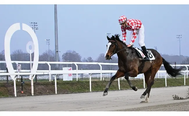 Ippica, Ippodromo Snai San Siro: sabato di galoppo, Anthaia vince il Premio Trau