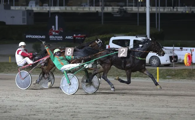 Ippica, Ippodromo di Bologna: Francesca Consoli e Samuele Querci vincitori delle gare di domenica 21 dicembre