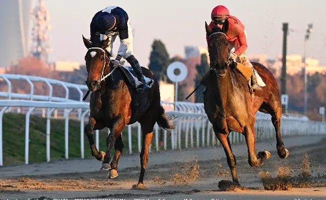 Ippica, martedì all'Ippodromo Snai San Siro sei corse handicap dalle 14.40