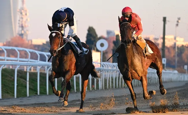 Ippica, Ippodromo Snai San Siro: lunedì 29 dicembre ultima stagionale di galoppo del 2025