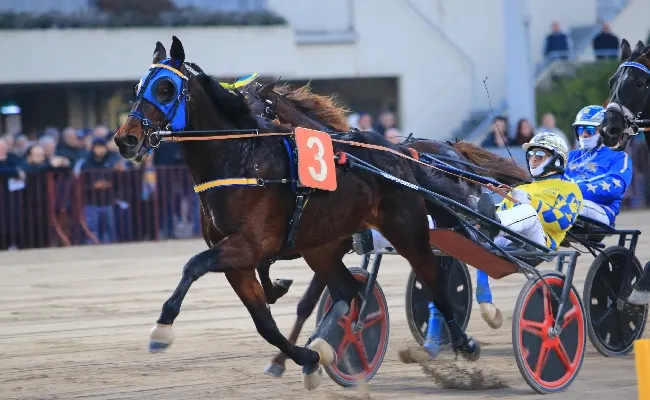 Ippica, Ippodromo di Bologna: il 2025 si è concluso con una tripla vittoria di Enrico Bellei. Prossimo appuntamento il 1° gennaio