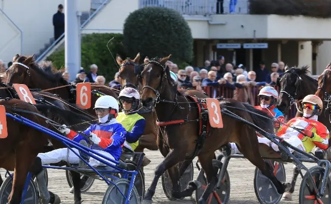 Ippica, Ippodromo di Bologna: il 1° gennaio si inaugura l'anno di trotto con sette corse