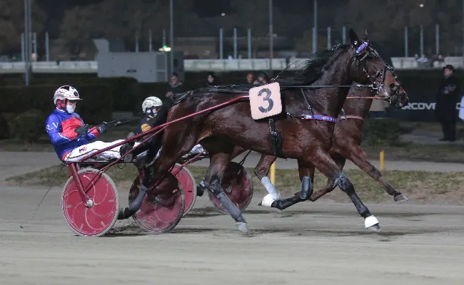 Ippica, Ippodromo Arcoveggio di Bologna: domenica 4 gennaio otto corse dalle 15:05
