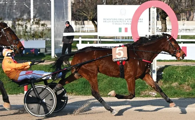 Trotto, Ippodromo Snai San Siro: Galaxia Des Col vince il Premio Scuderia Indal