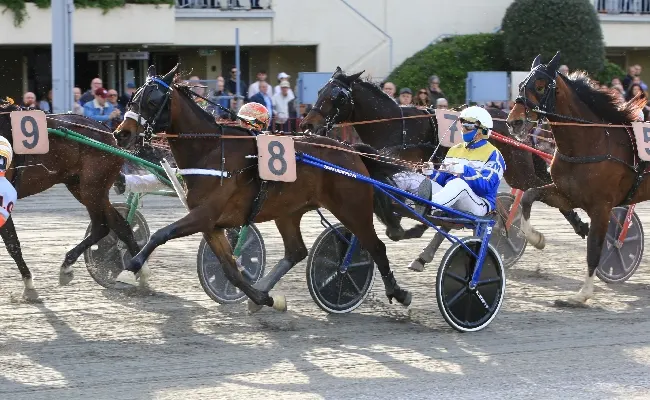 Ippica, Ippodromo di Bologna: 6 gennaio con Gran Premio della Vittoria e Befana in pista