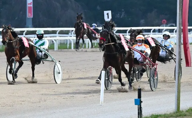 Ippica, Ippodromo Snai San Siro: nel martedì di trotto brilla Gemma degli Dei nel Premio Anselmo Fontanesi