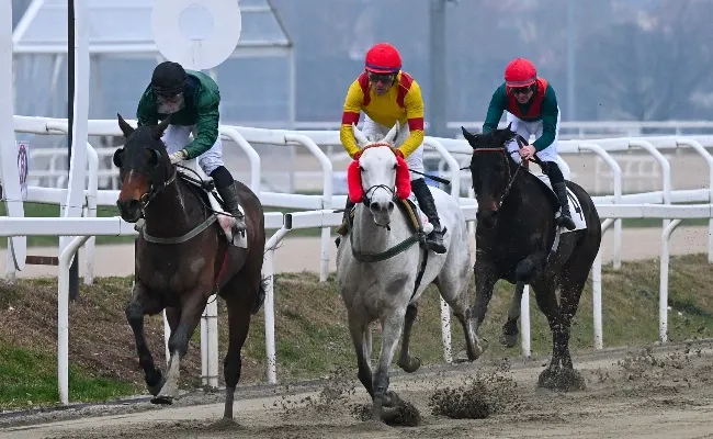 Ippica, Ippodromo Snai San Siro: mercoledì di galoppo con la vittoria di Partigiano Elfo nel primo Quintè stagionale