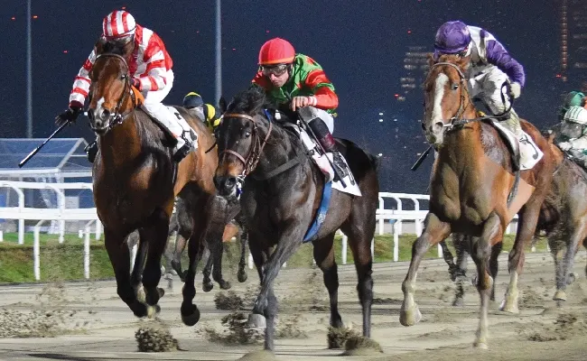 Ippica, all’Ippodromo Snai San Siro di Milano lunedì di trotto con sette corse