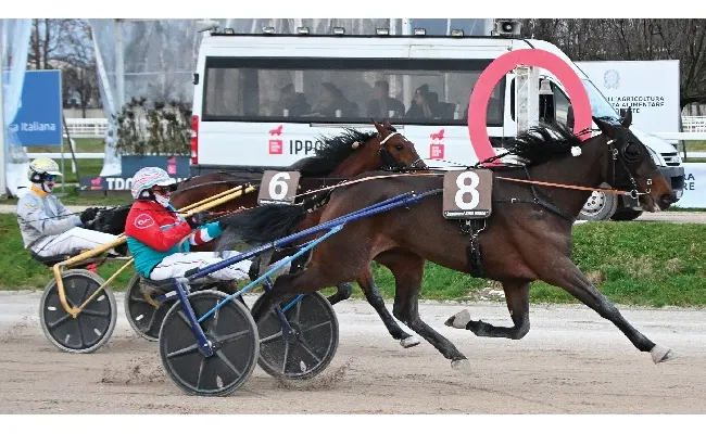Ippica, Ippodromo Snai San Siro: vittoria e record per Indigo Roc nel lunedì di trotto con il Premio Brighenti