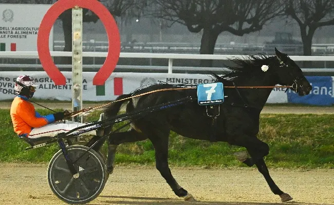 Ippica, Ippodromo Snai San Siro: Gaga Lady si aggiudica il Premio Aleksandr Finn