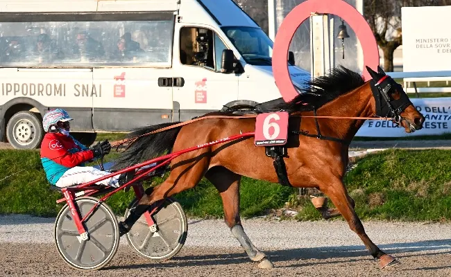 Ippica, Ippodromo Snai San Siro: nel lunedì di trotto Ambush Inthe Night vince il Premio Mario Manfredi