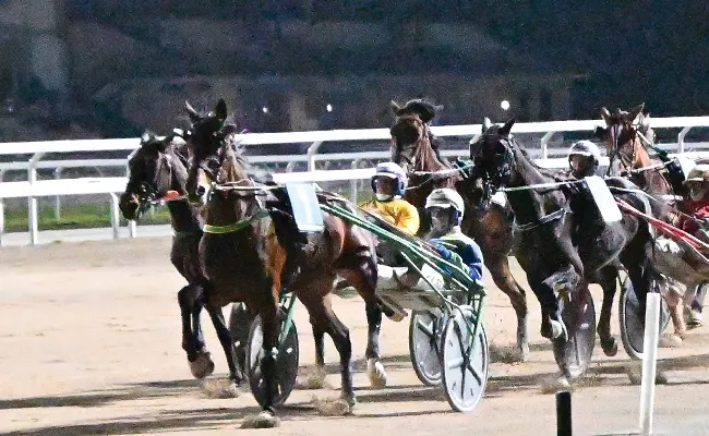 Ippica, Ippodromo Snai San Siro: giovedì la 7^ giornata di trotto con sette corse
