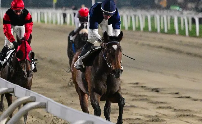 Ippica, Ippodromo Snai San Siro: Sopran Lucca vince di misura su Red Maximus nel venerdì di galoppo