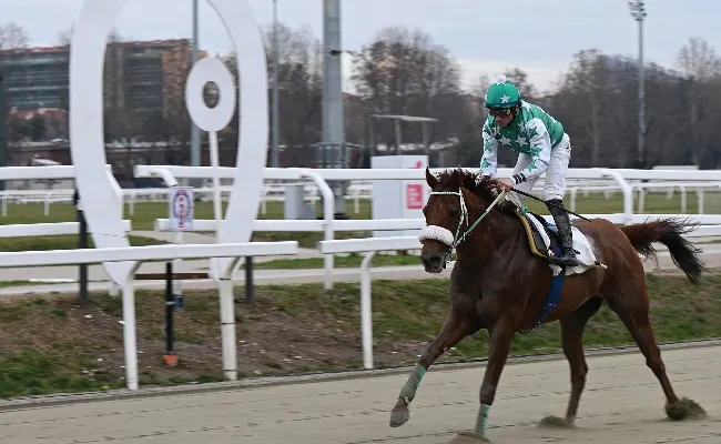 Ippica, Ippodromo Snai San Siro: il Gran Premio Cavalli e Sport incorona Wide Sea