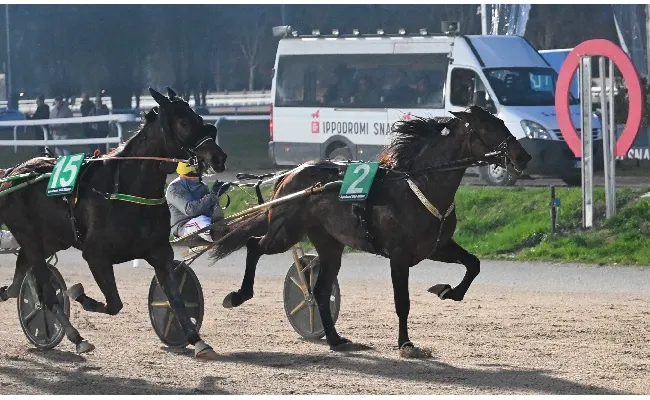 Ippica, Ippodromo Snai San Siro: Farik Roc vince il Gran Premio Mario Locatelli