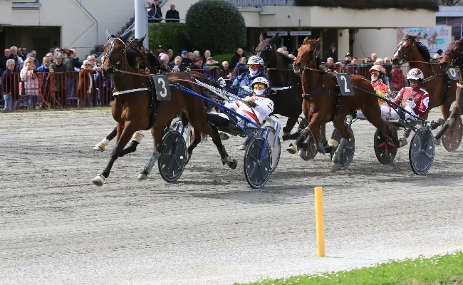 Ippica, Ippodromo di Bologna: giovedì 19 febbraio, otto corse dalle 14:55. Clou per soggetti di 5 e 6 anni