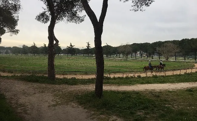 Ippodromi italiani, dalla folla degli anni ’90 alla sfida della sopravvivenza, tra chiusure e degrado