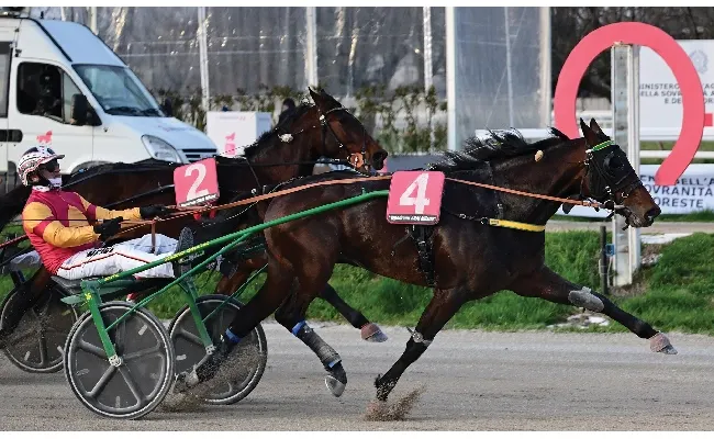 Ippica, Ippodromo Snai San Siro: Follia d'Esi domina il Gran Premio E.N.C.A.T. 2026 nella domenica di trotto