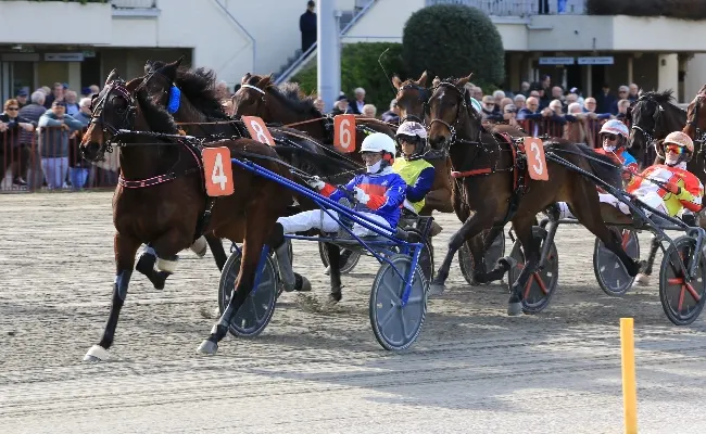Ippica, Ippodromo di Bologna: domenica 1° marzo, clou per ottimi tre anni e altre sette corse a partire dalle 14:45