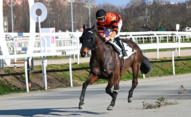 Ippica, all’Ippodromo Snai San Siro mercoledì di galoppo: sei corse al via dalle ore 15:15 con il Quintè del Premio Fantasio