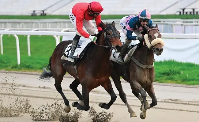Ippica, Ippodromo Snai San Siro: Lucky Love vince il Premio Fantasio nel mercoledì di galoppo