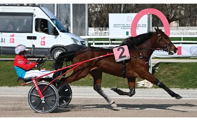Ippica, Ippodromo Snai San Siro: Ifly Point vince il Premio Nosate Trotto