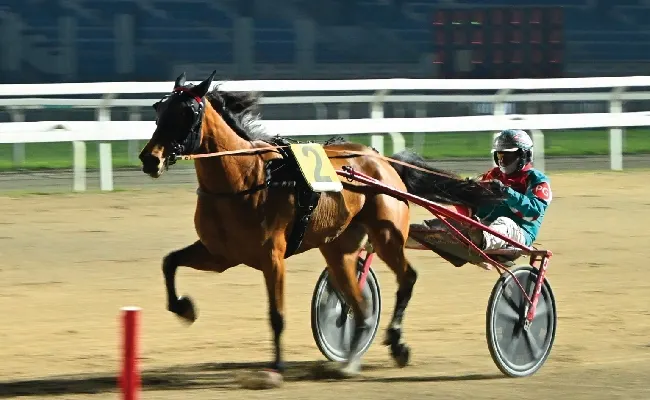 Ippica, sabato all’Ippodromo Snai San Siro di Milano doppio appuntamento con le corse al trotto e con la prima delle due ‘Giornate Fai di Primavera’