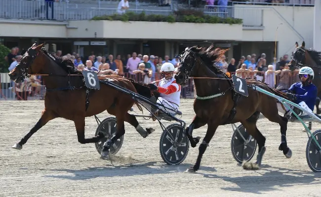 Ippica, Ippodromo Arcoveggio Bologna: domenica 29 marzo in programma il Gran Premio d'Italia