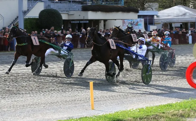 Ippica, Ippodromo Arcoveggio: domenica 29 marzo il Gran Premio Italia, sfida tra i migliori tre anni