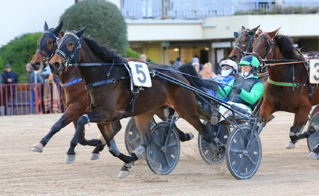 Ippica, Ippodromo Arcoveggio Bologna: giovedì 2 aprile il Premio Gianluigi "Gigi" Andreini