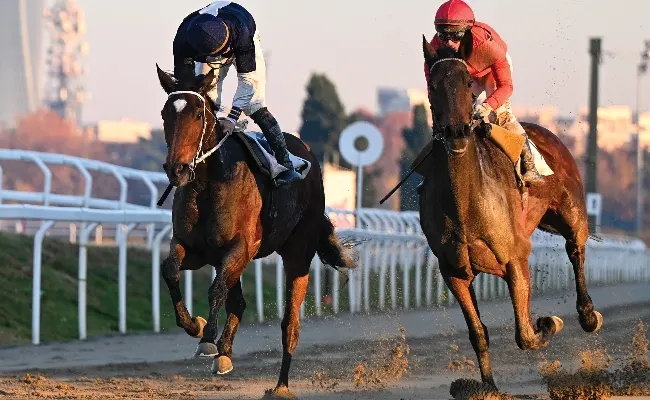 Premio Gardone e Premio Seregno per un sabato super di galoppo all’Ippodromo Snai San Siro. E domenica tocca al trotto