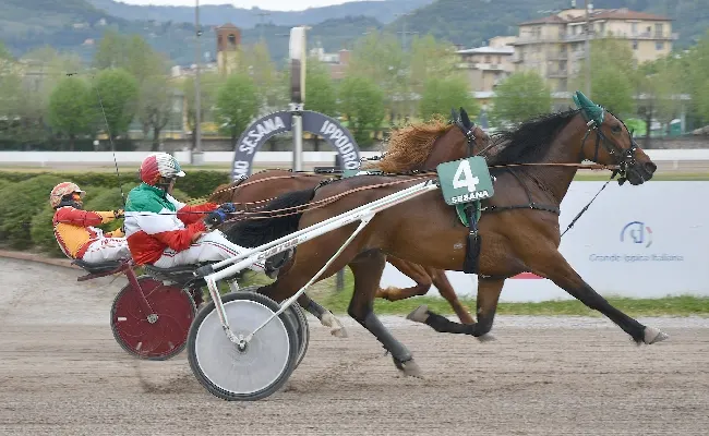 Ippica, Ippodromo Snai Sesana: trotto, nel Premio Soberania arriva la “vendetta” di Ipomea di Poggio