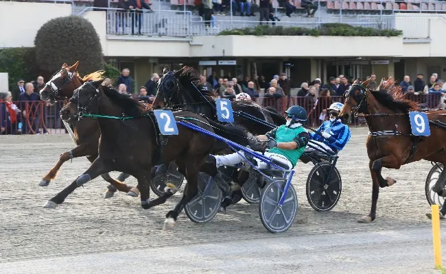 Ippica, Ippodromo di Bologna: giovedì 16 aprile, clou per velocisti e altre sette corse di qualità. Inizio ore 14:30