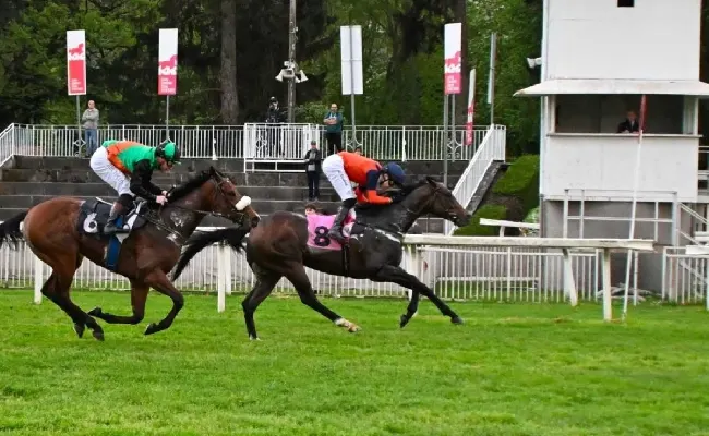 Ippica, Ippodromo Snai San Siro: nell’infrasettimanale di galoppo Lobster vince il Premio Giambattista Gnutti, mentre Black Magma si impone nel San Siro Sprint