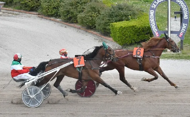 Ippica, Ippodromo Snai Sesana: domenica di sport e impegno sociale con la giornata di trotto dedicata a “365 giorni al femminile”