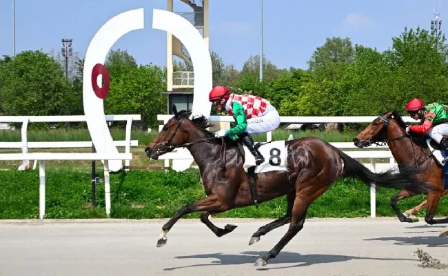 Ippica, sabato di galoppo all’Ippodromo Snai San Siro: Madram si aggiudica la listed ‘accorciata’ per il Premio Circo Massimo