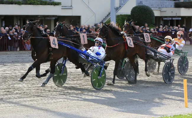 Ippica, Ippodromo di Bologna: giovedì 23 aprile clou per quattro anni e match tra frequentatori "classici" abbinati alle vie di Ravenna